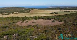 Land For Sale Aglientu, 6 Km From Rena Maiore Ref Bonif