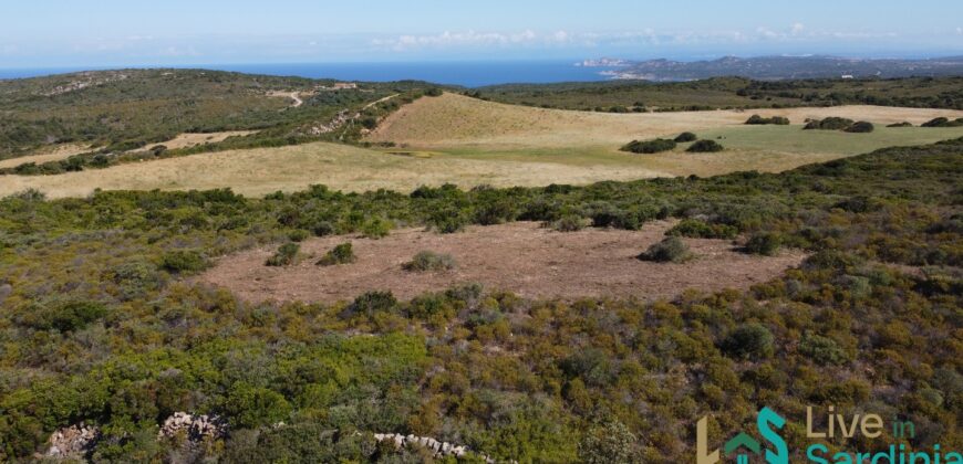 Land For Sale Aglientu, 6 Km From Rena Maiore Ref Bonif