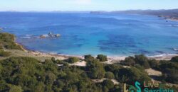 Land For Sale Aglientu, 6 Km From Rena Maiore Ref Bonif