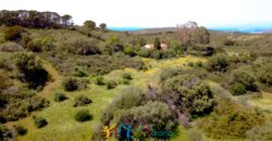 Land for sale  Aglientu, 6 Km from the Rena Maiore Beach, Northen Sardinia