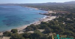 Land For Sale Aglientu, 6 Km From Rena Maiore Ref Bonif