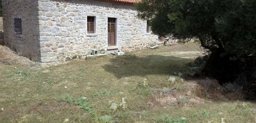 Traditional Farmhouse for Sale in Telti, Near Olbia, North Sardinia