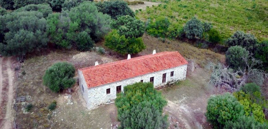 Traditional Farmhouse for Sale in Telti, Near Olbia, North Sardinia