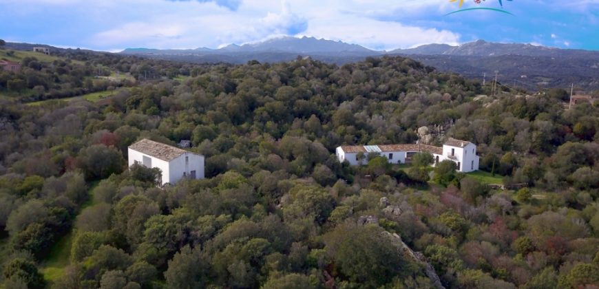 Superb Unfinished Rural Villas With 3,4 Ha for Sale Near Olbia, North Sardinia
