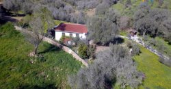 Refurbished 100 M2 Rural Home and Land for Sale 15 Km from Olbia, N.e. Sardinia