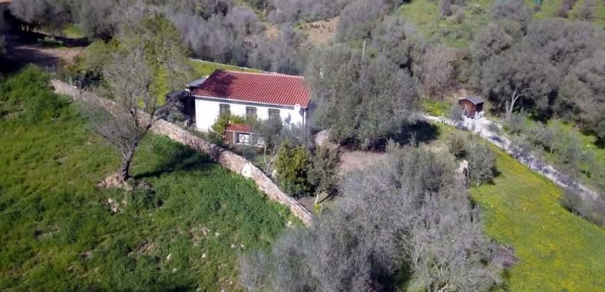 Refurbished 100 M2 Rural Home and Land for Sale 15 Km from Olbia, N.e. Sardinia