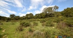 Fabolous 10 Ha Land and 86 M2 Farmhouse for Sale in Luogosanto 23 Km from Arzachena North Sardinia