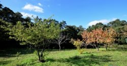 80 M2 Refurbished Farmhouse With 13 Ha Land in Calangianus, 30 Km from Olbia,north East Sardinia