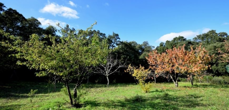 80 M2 Refurbished Farmhouse With 13 Ha Land in Calangianus, 30 Km from Olbia,north East Sardinia