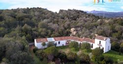 Superb Unfinished Rural Villas With 3,4 Ha for Sale Near Olbia, North Sardinia