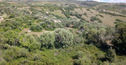 Lapponi: 1 Ha Plot for Sale Near the Sea, building Permission, 6 Km from the Rena Maiore Beach, Northen Sardinia
