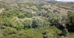 Lapponi: 1.4 Ha Plot for Sale Near the Sea, building Permission, 6 Km from the Rena Maiore Beach, Northen Sardinia