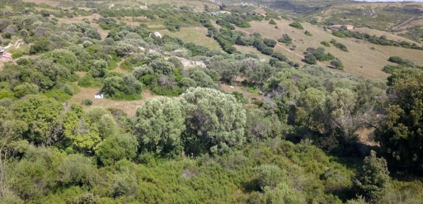 Lapponi: 1 Ha Plot for Sale Near the Sea, building Permission, 6 Km from the Rena Maiore Beach, Northen Sardinia
