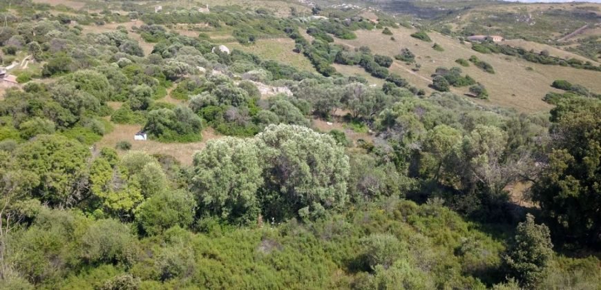 Lapponi: 1.4 Ha Plot for Sale Near the Sea, building Permission, 6 Km from the Rena Maiore Beach, Northen Sardinia