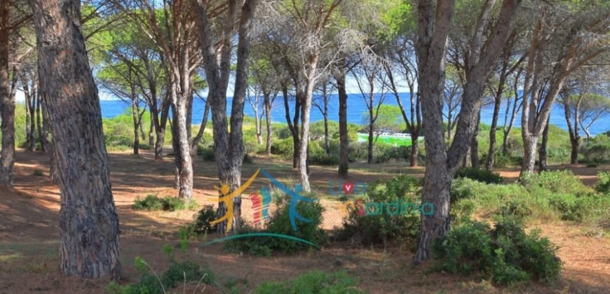 Beautiful semi-detached near the beach for Sale in Budoni North East Sardinia