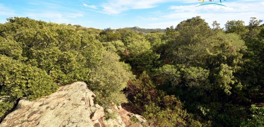 Superb Unfinished Rural Villas With 3,4 Ha for Sale Near Olbia, North Sardinia