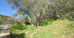 Refurbished 100 M2 Rural Home and Land for Sale 15 Km from Olbia, N.e. Sardinia