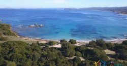 Sardinian Style Villa With Land for Sale in Luogosanto, North East Sardinia