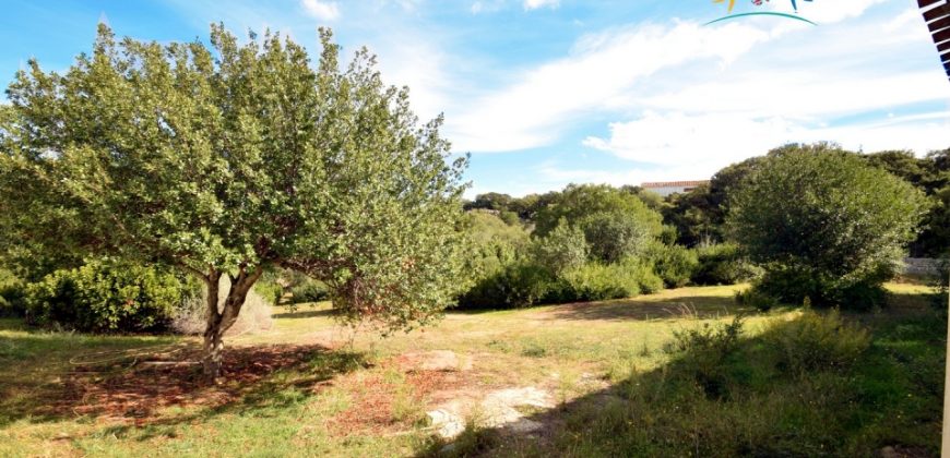 Superb Unfinished Rural Villas With 3,4 Ha for Sale Near Olbia, North Sardinia