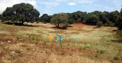 Fabolous 10 Ha Land and 86 M2 Farmhouse for Sale in Luogosanto 23 Km from Arzachena North Sardinia