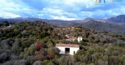 Superb Unfinished Rural Villas With 3,4 Ha for Sale Near Olbia, North Sardinia