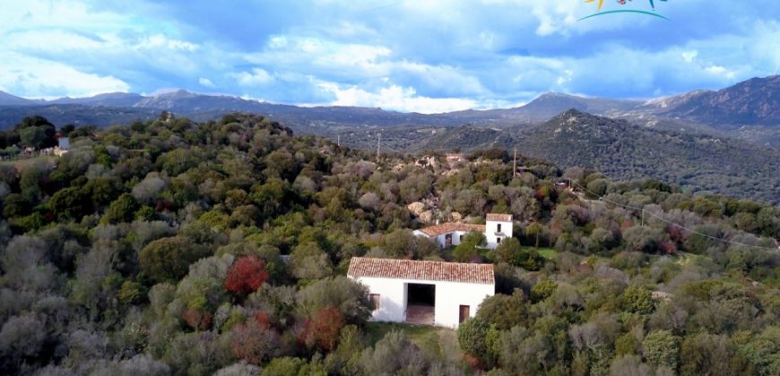 Superb Unfinished Rural Villas With 3,4 Ha for Sale Near Olbia, North Sardinia