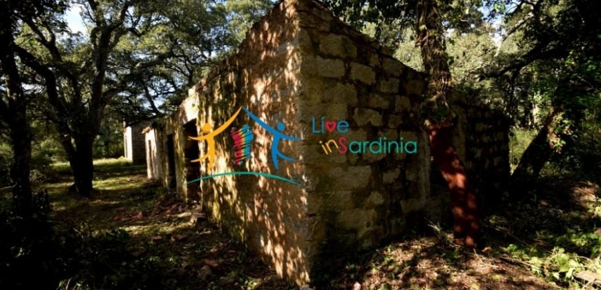 120M2 Ruin and 3,9 Ha Land for Sale in Calangianus, Northern Sardinia