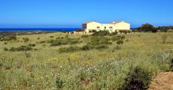 Sardinian Cottage With 3 Ha Land for Sale Near Aglientu, Northern Sardinia