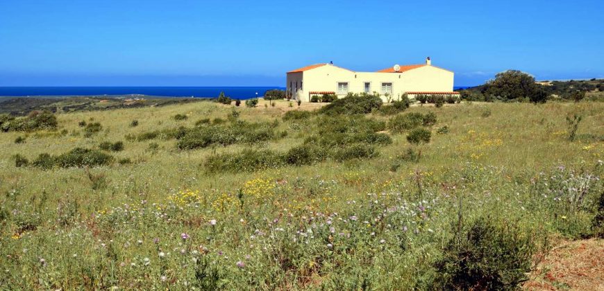 Sardinian Cottage With 3 Ha Land for Sale Near Aglientu, Northern Sardinia