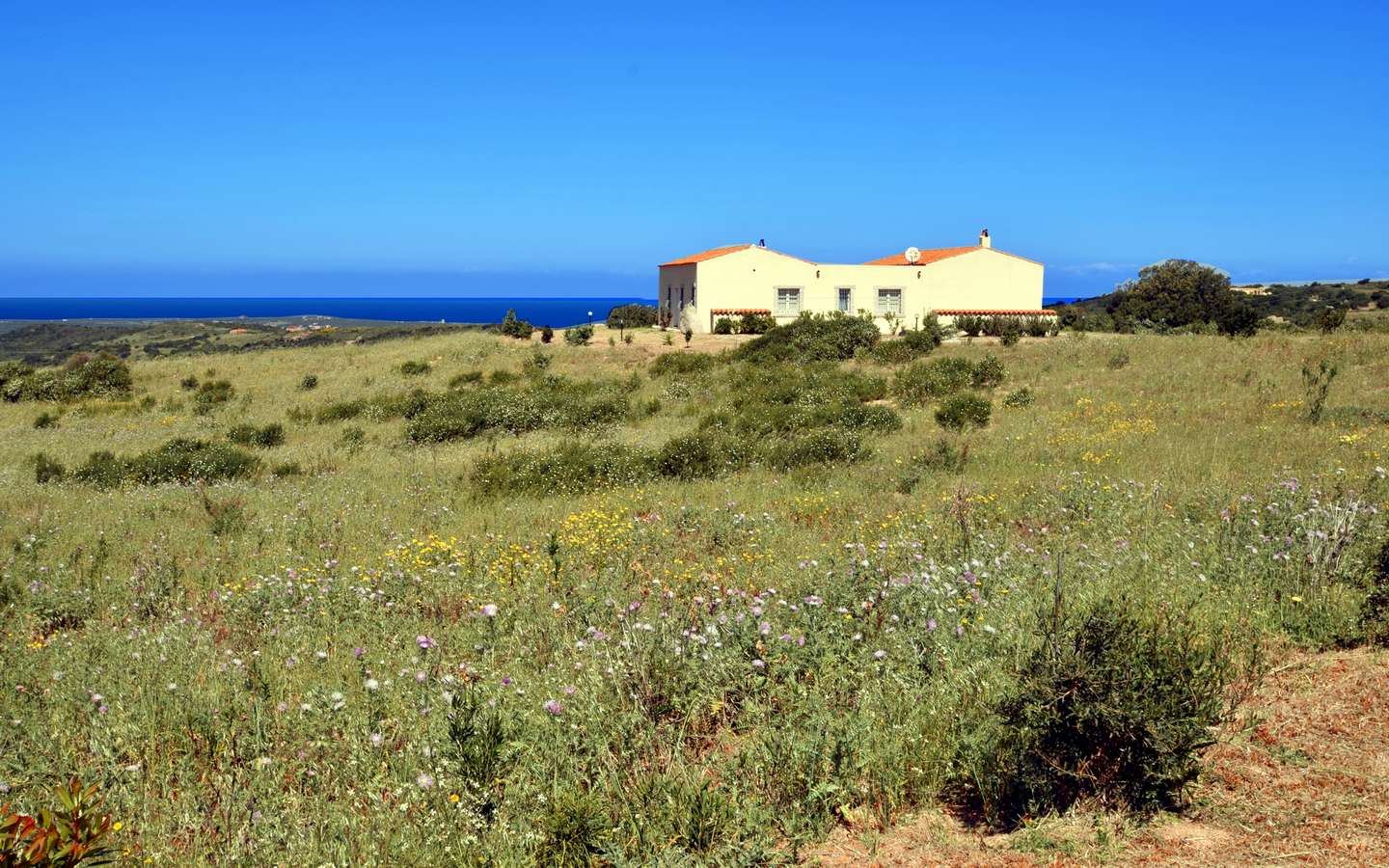 Sardinian Cottage With 3 Ha Land for Sale Near Aglientu, Northern Sardinia