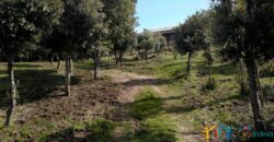 Unfinished Villas On Panoramic Plot for Sale Near Santa Teresa Di Gallura, Northern Sardinia