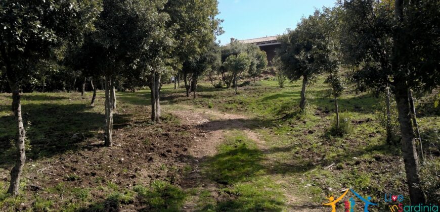 Unfinished Villas On Panoramic Plot for Sale Near Santa Teresa Di Gallura, Northern Sardinia