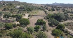 Wonderful 230 M2 Country Home and 1 Ha Land for Sale in Arzachena, North East Sardinia