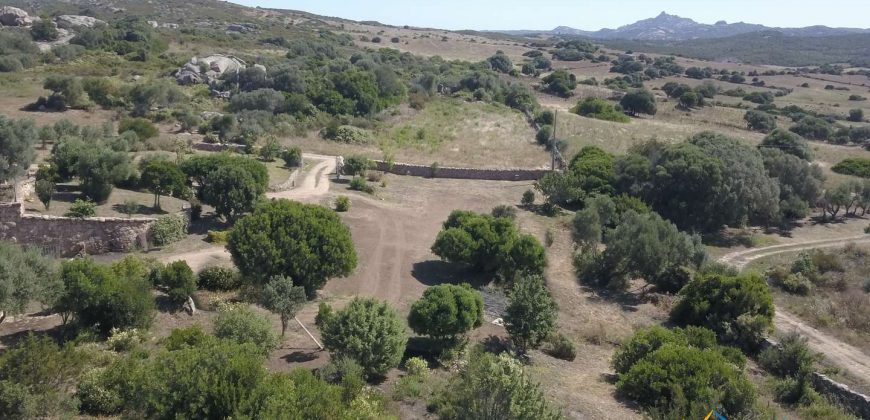 Wonderful 230 M2 Country Home and 1 Ha Land for Sale in Arzachena, North East Sardinia