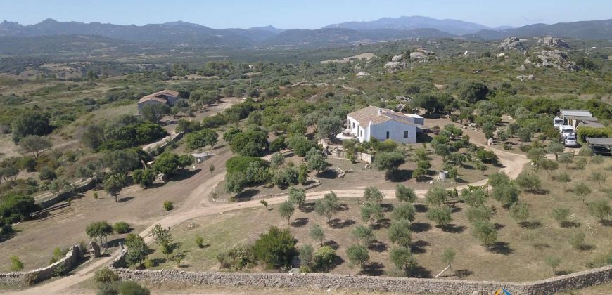 Wonderful 230 M2 Country Home and 1 Ha Land for Sale in Arzachena, North East Sardinia