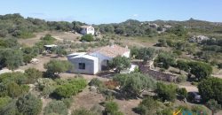 Wonderful 230 M2 Country Home and 1 Ha Land for Sale in Arzachena, North East Sardinia