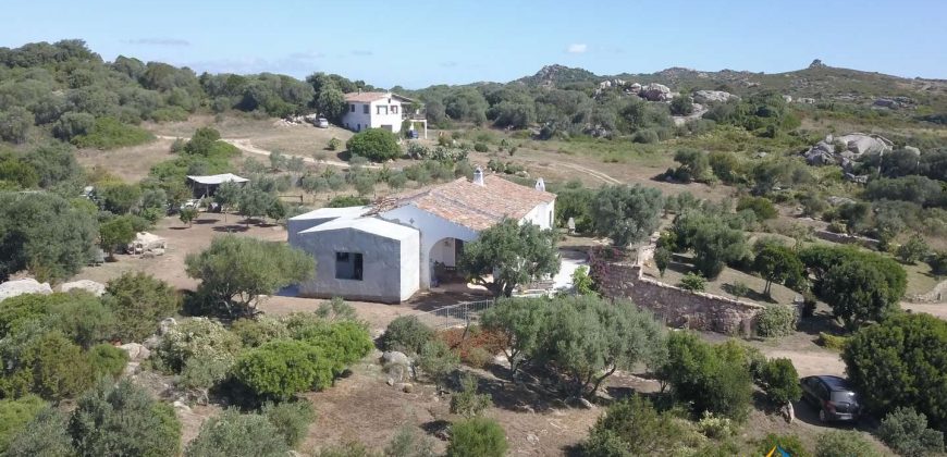 Wonderful 230 M2 Country Home and 1 Ha Land for Sale in Arzachena, North East Sardinia