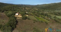 Attractive 260 M2 Country Home for Sale in Crisciuleddu Near Porto Cervo, North East Sardinia