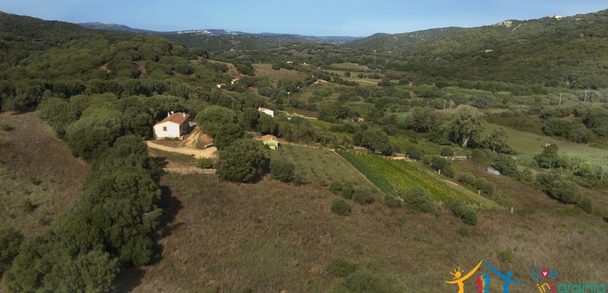 Attractive 260 M2 Country Home for Sale in Crisciuleddu Near Porto Cervo, North East Sardinia