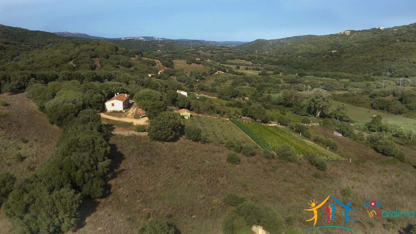 Attractive 260 M2 Country Home for Sale in Crisciuleddu Near Porto Cervo, North East Sardinia