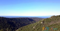 Scenic Sea Views 2,5 Ha Land and Villa for Sale Near Luogosanto, North East Sardinia