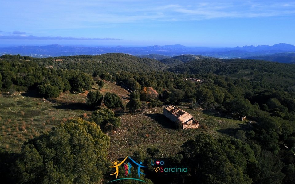 Fabolous 10 Ha Land and 86 M2 Farmhouse for Sale in Luogosanto 23 Km from Arzachena North Sardinia