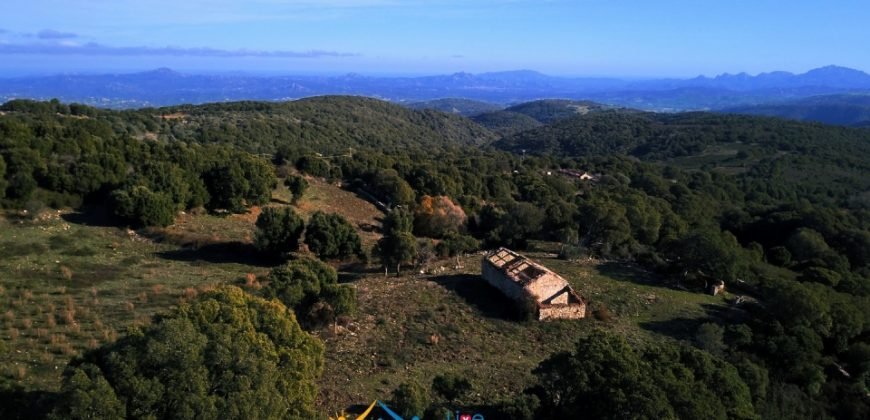 Restoration Project:9ha Land and 86 M2 Stazzo for Sale in Luogosanto, 23 Km from the Sea, North Sardinia