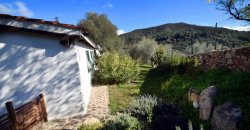 Refurbished 100 M2 Rural Home and Land for Sale 15 Km from Olbia, N.e. Sardinia