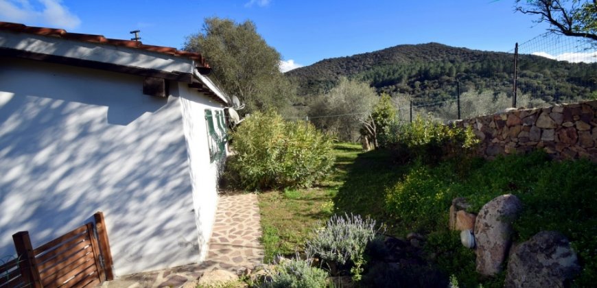 Refurbished 100 M2 Rural Home and Land for Sale 15 Km from Olbia, N.e. Sardinia