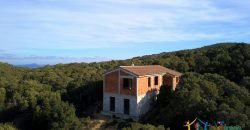 Sardinian Style Villa With Land for Sale in Luogosanto, North East Sardinia