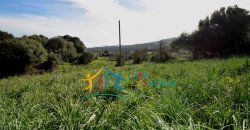 Attractive 3 Ha Land and 60 M2 Farmhouse for Sale in Li Casareddi Near Porto Cervo, North East Sardinia