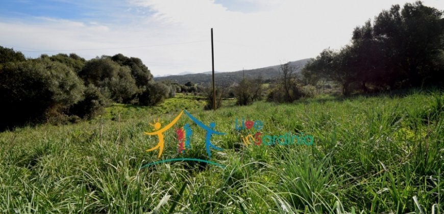 Attractive 3 Ha Land and 60 M2 Farmhouse for Sale in Li Casareddi Near Porto Cervo, North East Sardinia