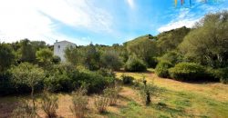 Superb Unfinished Rural Villas With 3,4 Ha for Sale Near Olbia, North Sardinia