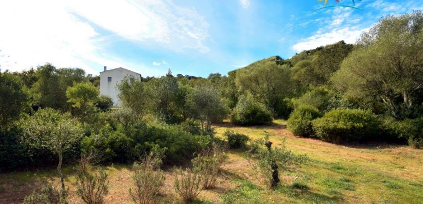 Superb Unfinished Rural Villas With 3,4 Ha for Sale Near Olbia, North Sardinia